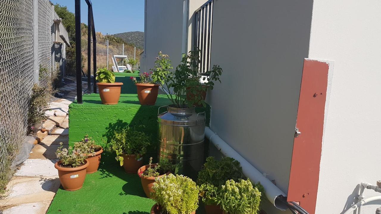 Anatoli Studios Agios Fokas  Exteriör bild